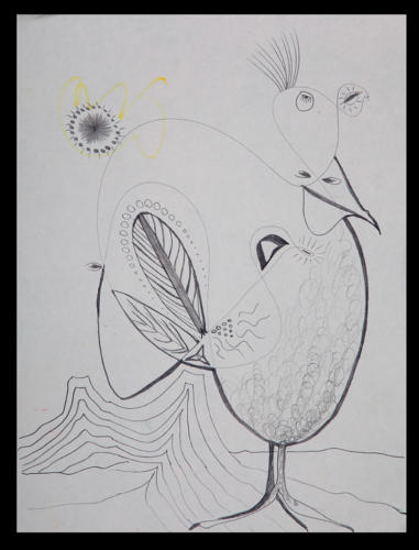 SpaceChicken
